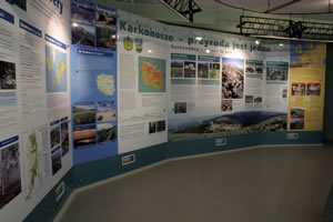 Wielkoformatowe postery w Sali MaB
