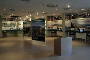 Sala gł&oacute;wna KCEE