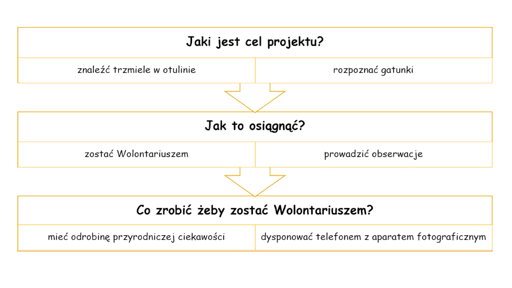 Cel projektu